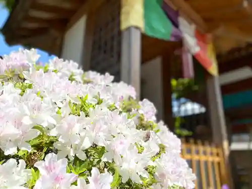 善光寺大本願の自然