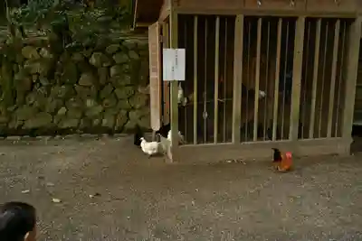 石上神宮(奈良県)