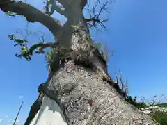 大木神社跡地(三重県)