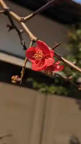 菅大臣神社(京都府)