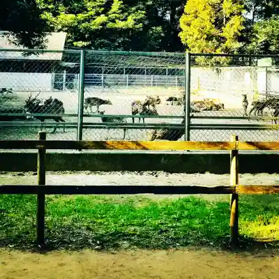 鹿島神宮のその他建物