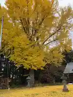 神明宮(青森県)