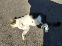 真野寺(千葉県)