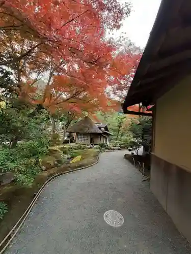 高台寺（高台寿聖禅寺・高臺寺）(京都府)