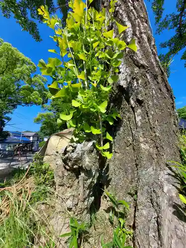 忌宮神社(山口県)