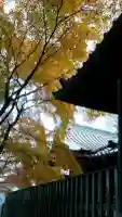賴政神社(群馬県)