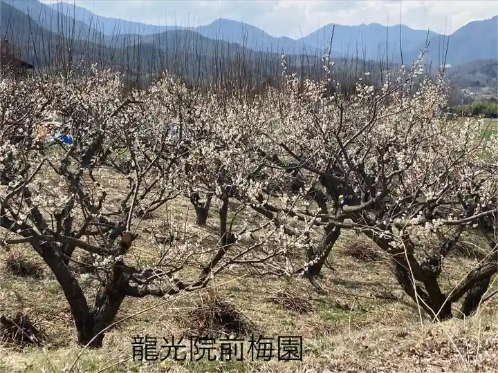 龍光院(長野県)