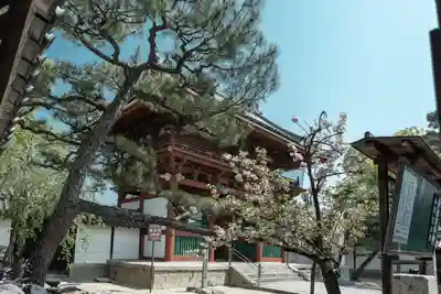 辛國神社の山門・神門