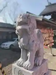 櫻岡大神宮の狛犬