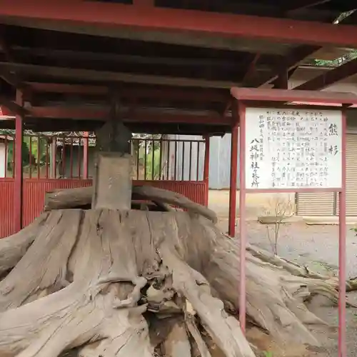 八坂神社の歴史