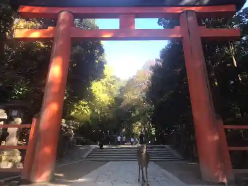 春日大社の鳥居