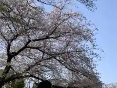 上戸田氷川神社の自然