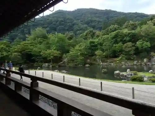 天龍寺の景色