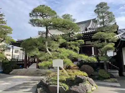心行寺(東京都)