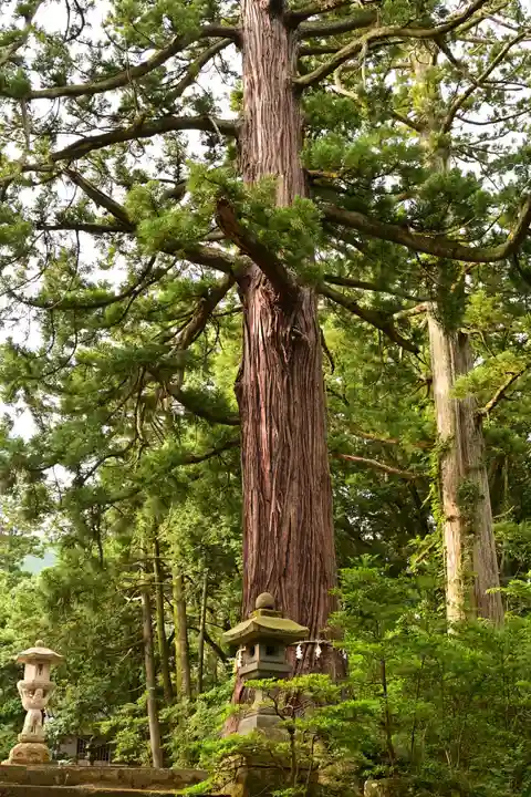 八幡宮(富山県)