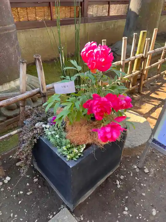 上野東照宮(東京都)