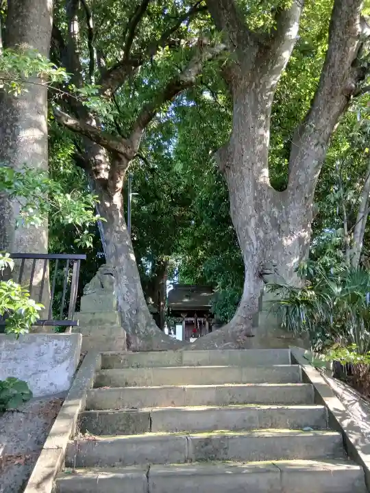 王子神社(千葉県)