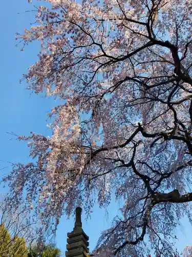 上合寺(福島県)