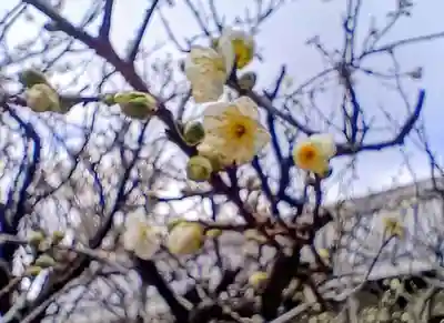 片埜神社(大阪府)