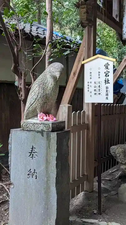 大豊神社(京都府)
