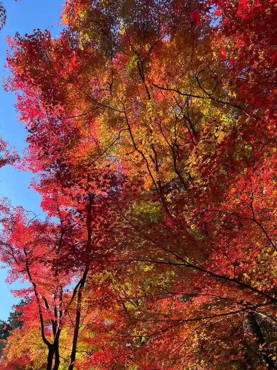 来迎院(京都府)