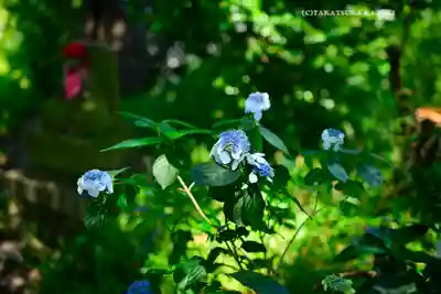 高幡不動尊　金剛寺(東京都)