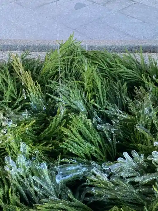八坂神社(祇園さん)の手水舎