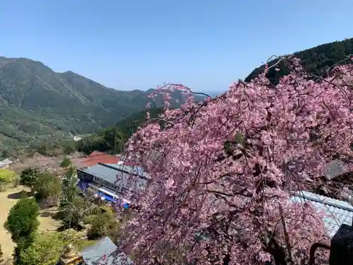 青岸渡寺の景色