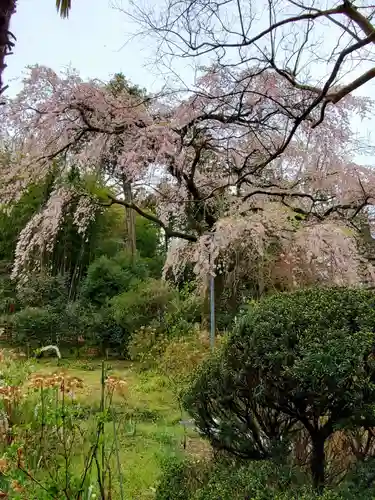 上合寺(福島県)