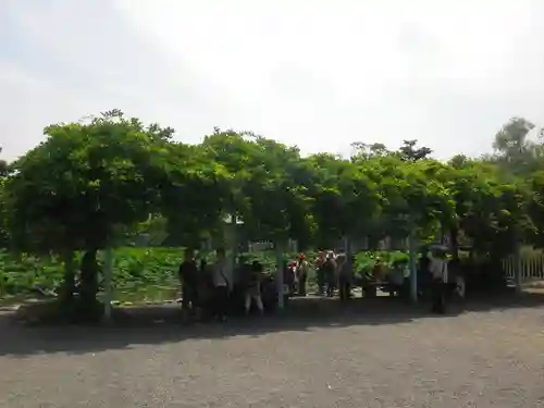 鶴岡八幡宮の庭園