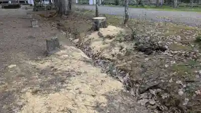 雨紛神社の自然