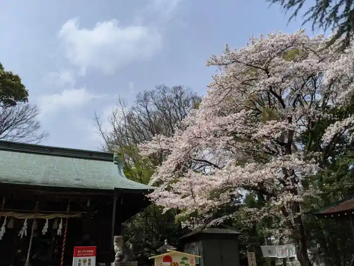 曾屋神社の自然