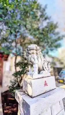 滝野川八幡神社の狛犬