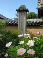 當麻寺中之坊の建物その他