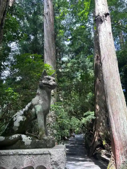 三峯神社(埼玉県)