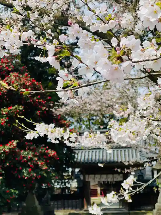 守りの神 藤基神社(新潟県)