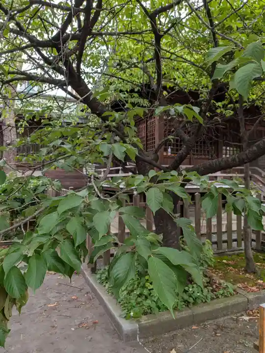 新宿下落合氷川神社(東京都)