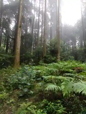 山神社(鹿児島県)