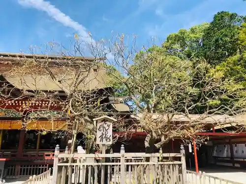 太宰府天満宮のその他建物