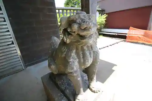 大山阿夫利神社本社の狛犬