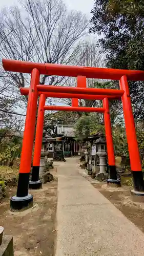 厳嶋神社の鳥居