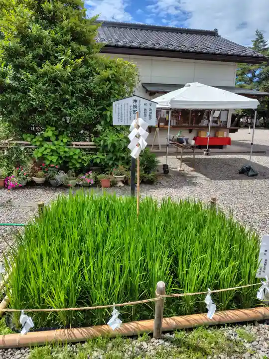 倉賀野神社(群馬県)