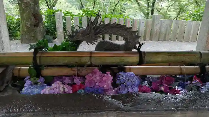 楽法寺(雨引観音)の手水舎