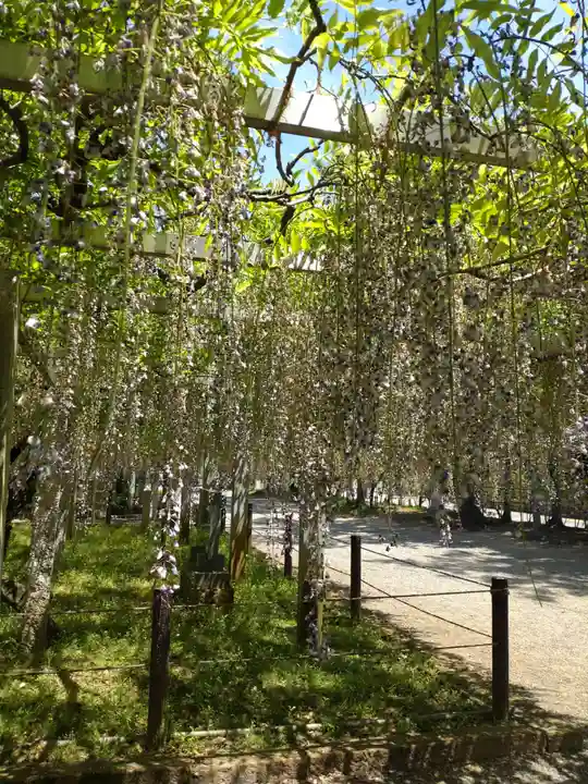 三大神社の自然
