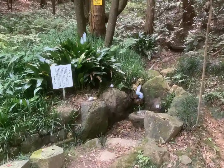 尾張冨士大宮浅間神社(愛知県)