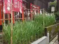 下神明天祖神社(東京都)