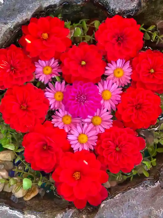 伊達神社の手水舎