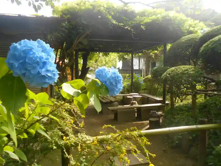 極楽寺(霊鷲山感應院極楽律寺)の庭園