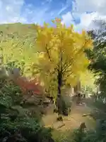 康平寺(熊本県)