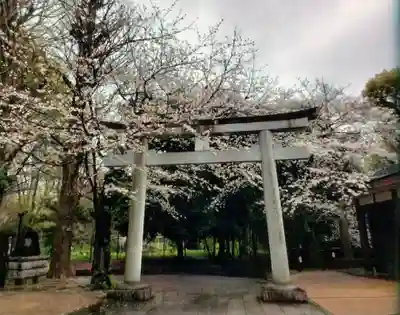 熊野神社(東京都)